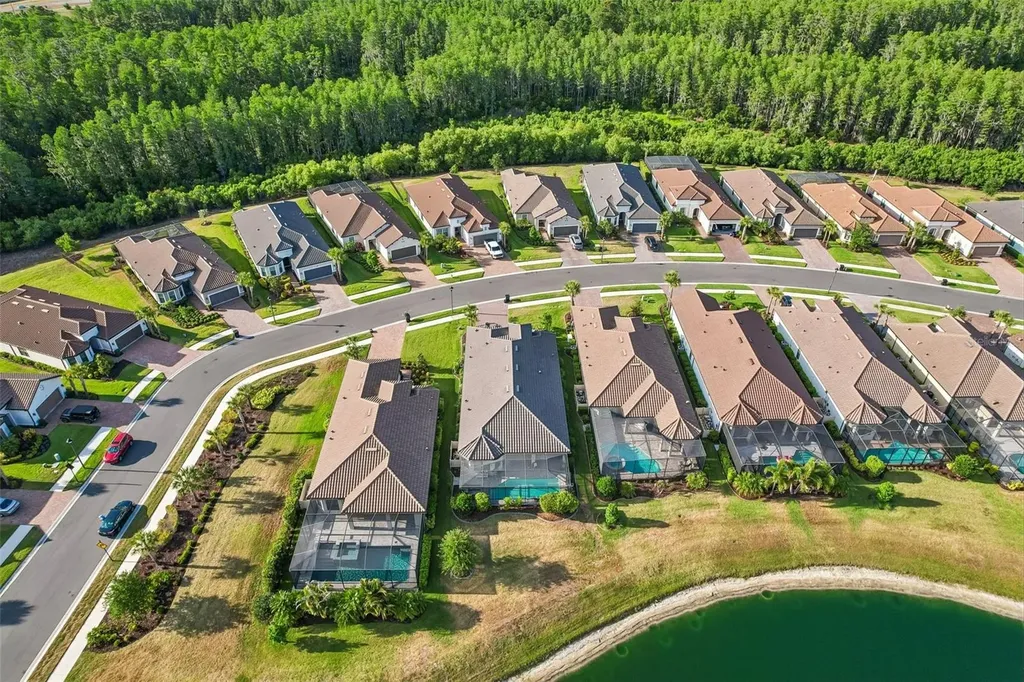 10834 Calluna Drive Odessa FL 33556