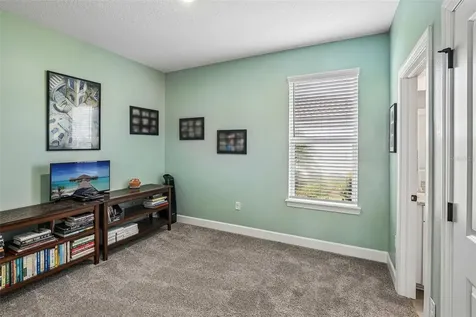 10834 Calluna Drive Odessa FL 33556