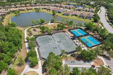 10834 Calluna Drive Odessa FL 33556