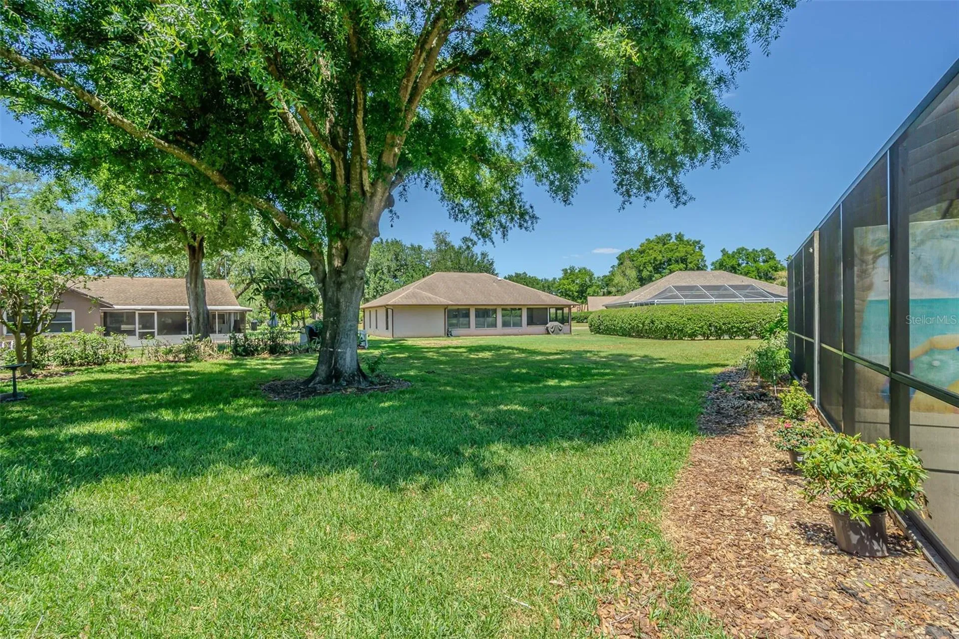 6431 Laurelwood Drive Zephyrhills FL 33542