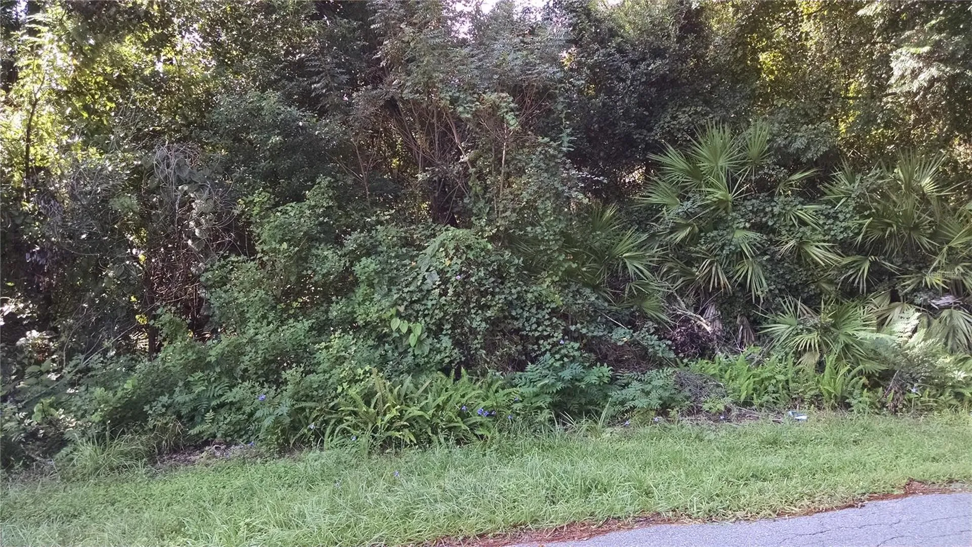 1361 Howland Boulevard Deltona FL 32738