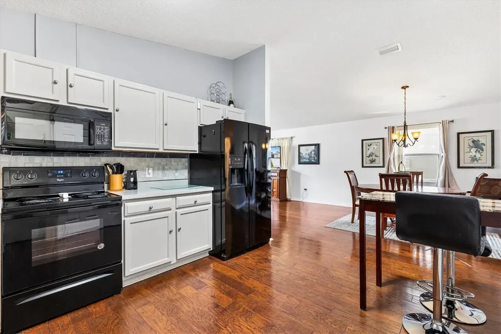 406 Del Mar Drive The Villages FL 32159