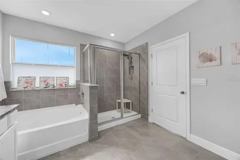 116 Bright Ibis Avenue Apollo Beach FL 33572
