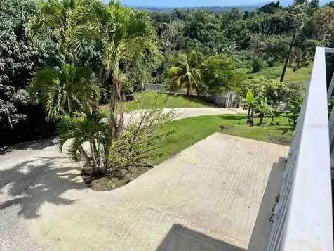 Trujillo Alto PR 00976