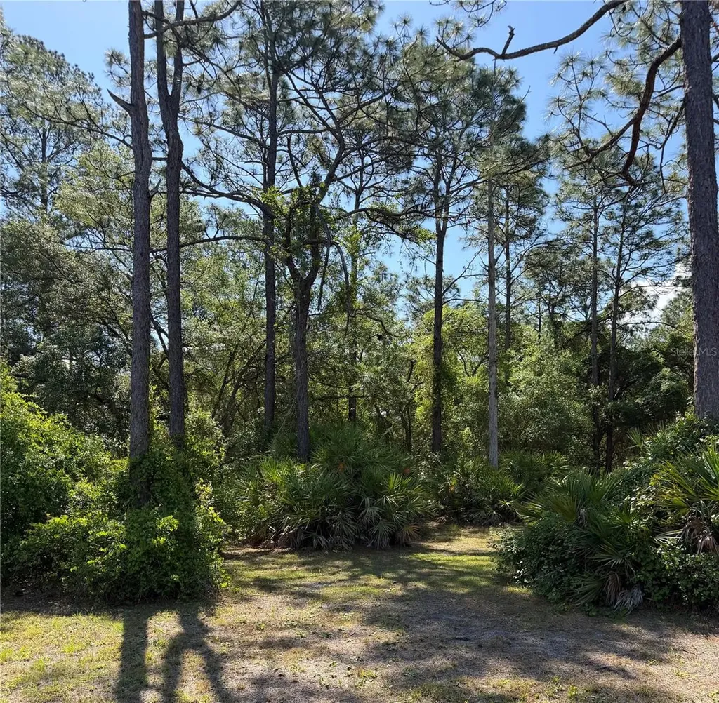 SE 180th Avenue Road Ocklawaha FL 32179