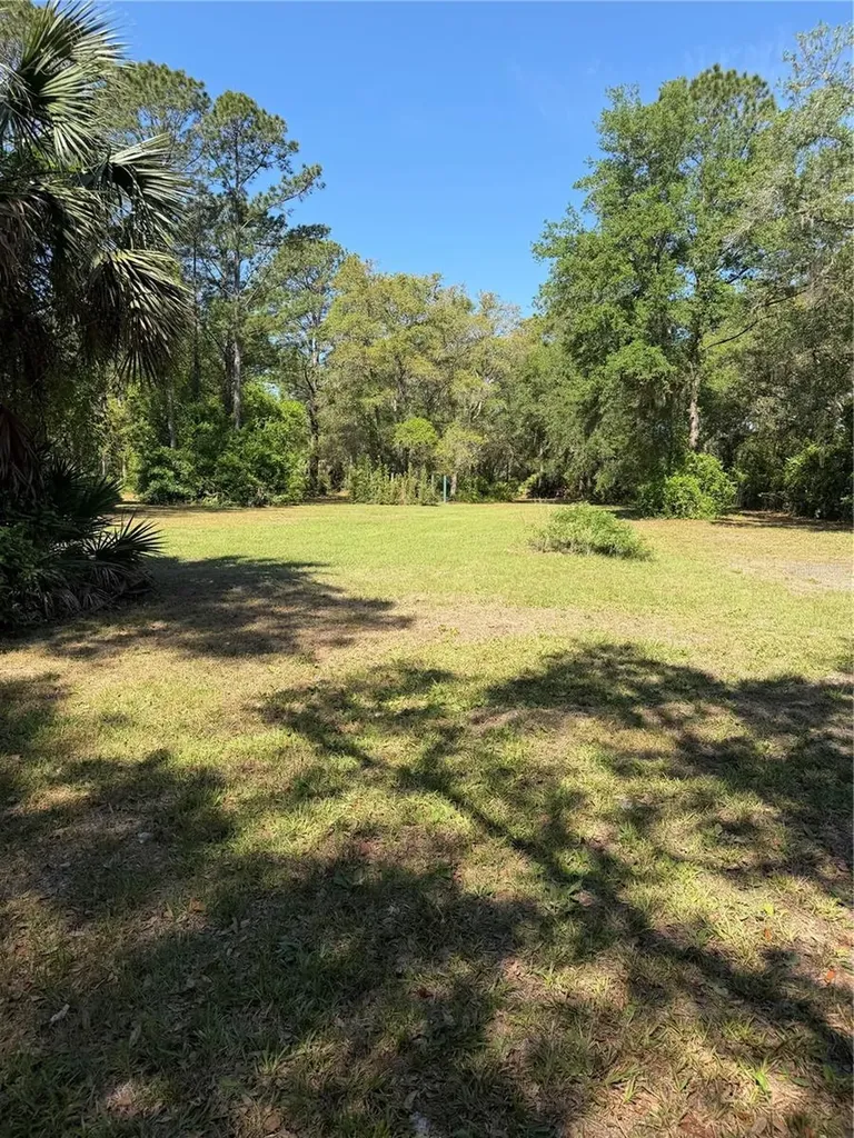 SE 180th Avenue Road Ocklawaha FL 32179