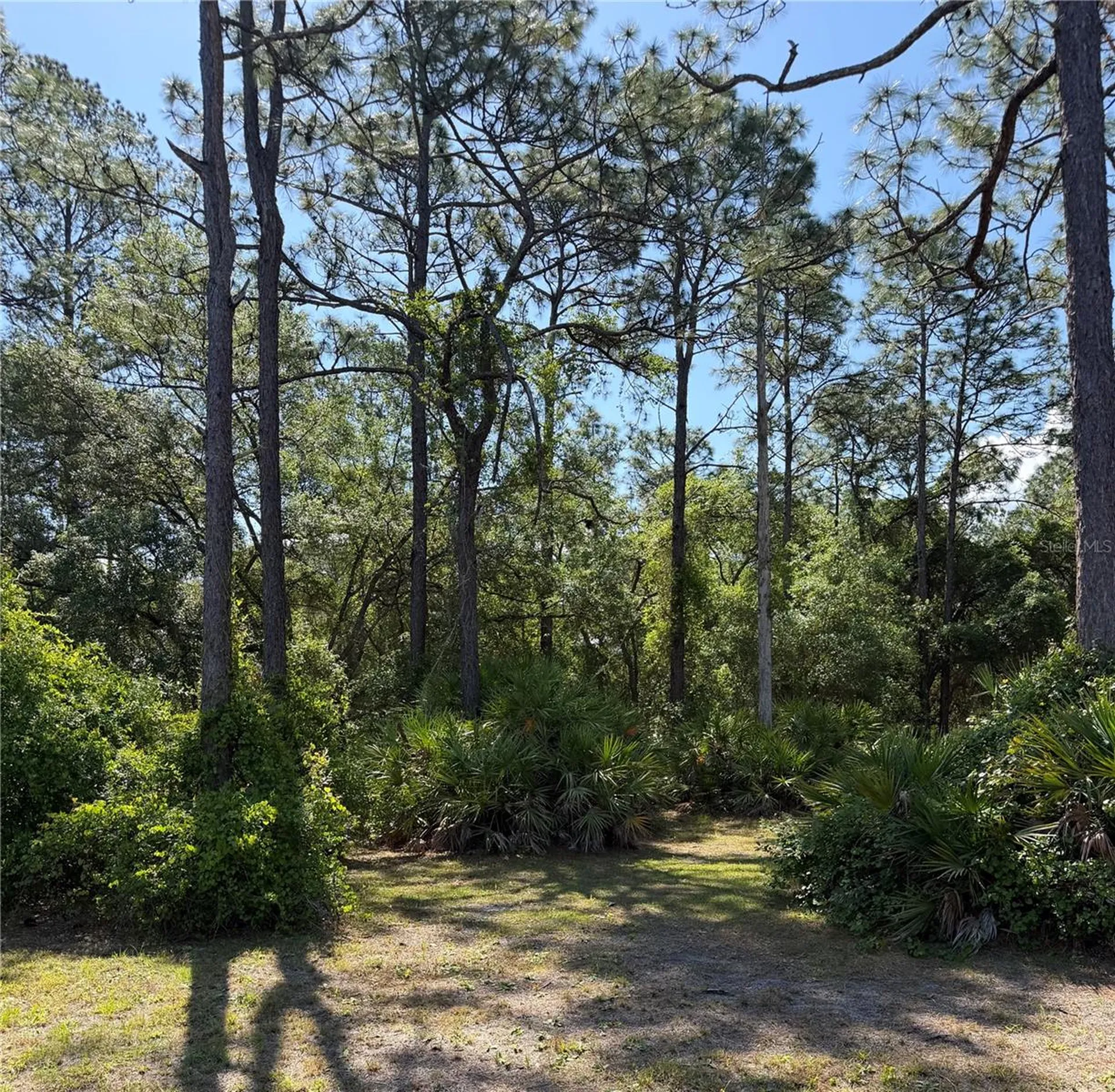 SE 180th Avenue Road Ocklawaha FL 32179