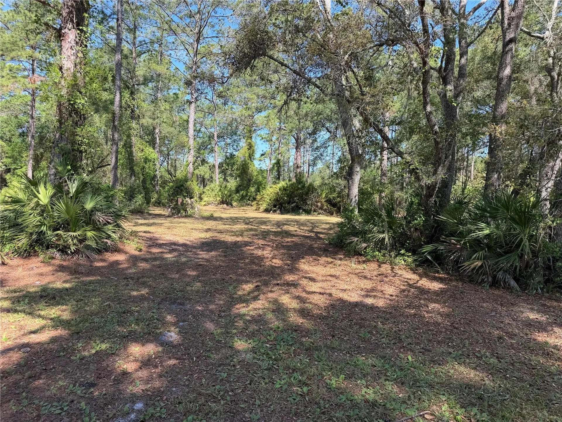 SE 180th Avenue Road Ocklawaha FL 32179