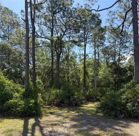 SE 180th Avenue Road Ocklawaha FL 32179