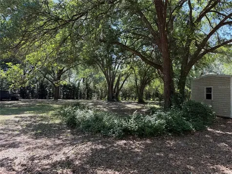 SE 180th Avenue Road Ocklawaha FL 32179