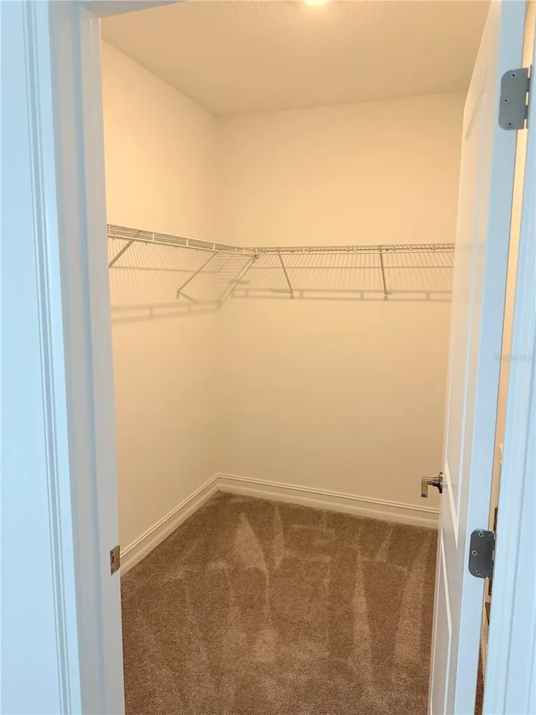 18378 Serene Lake Loop Lutz FL 33548