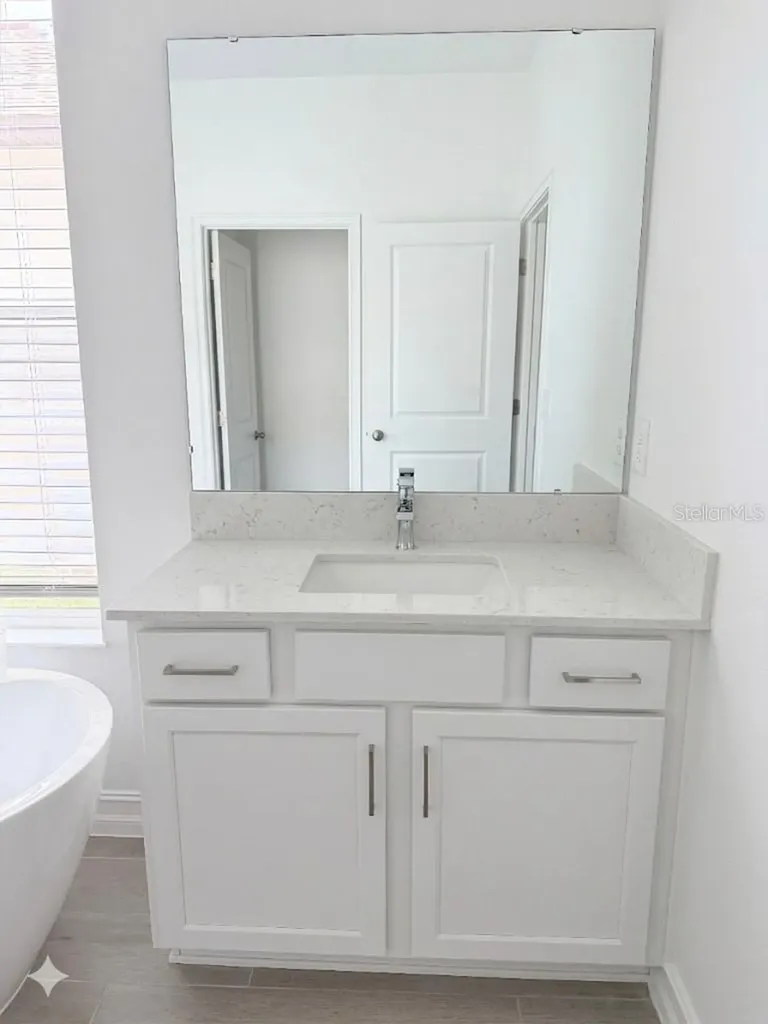 18378 Serene Lake Loop Lutz FL 33548