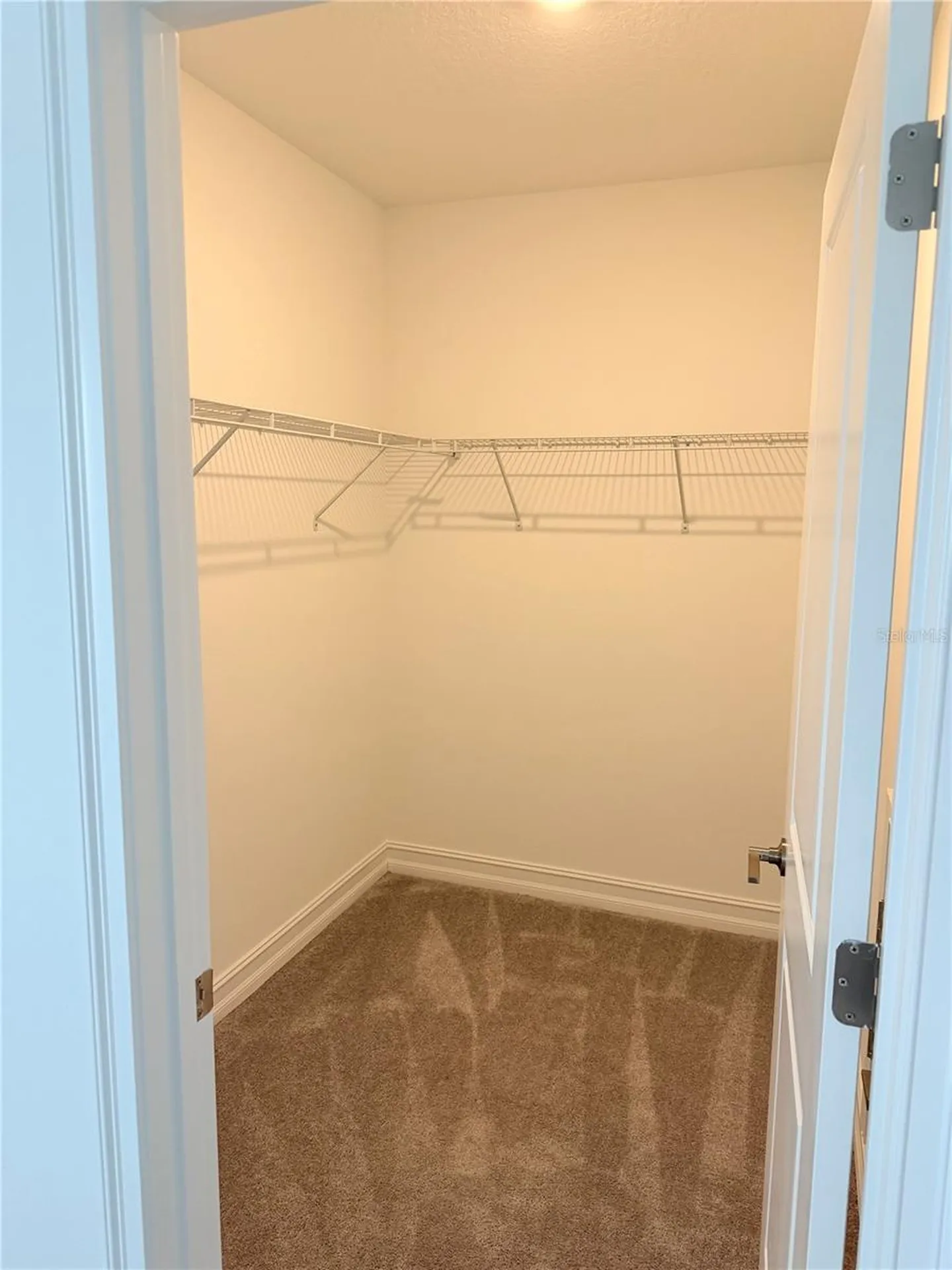 18378 Serene Lake Loop Lutz FL 33548