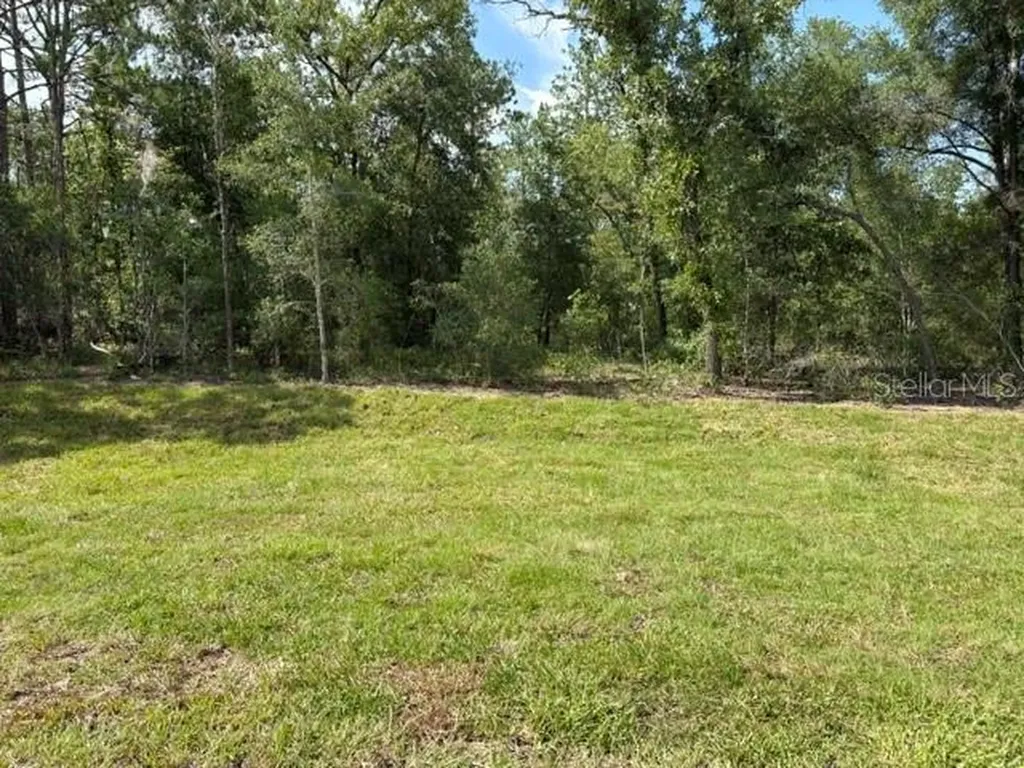 12815 SW 94th Lane Dunnellon FL 34432