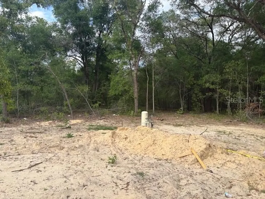 12815 SW 94th Lane Dunnellon FL 34432