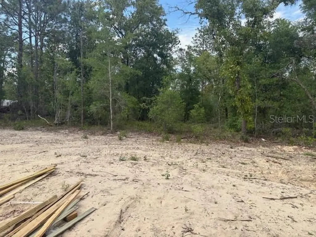 12815 SW 94th Lane Dunnellon FL 34432
