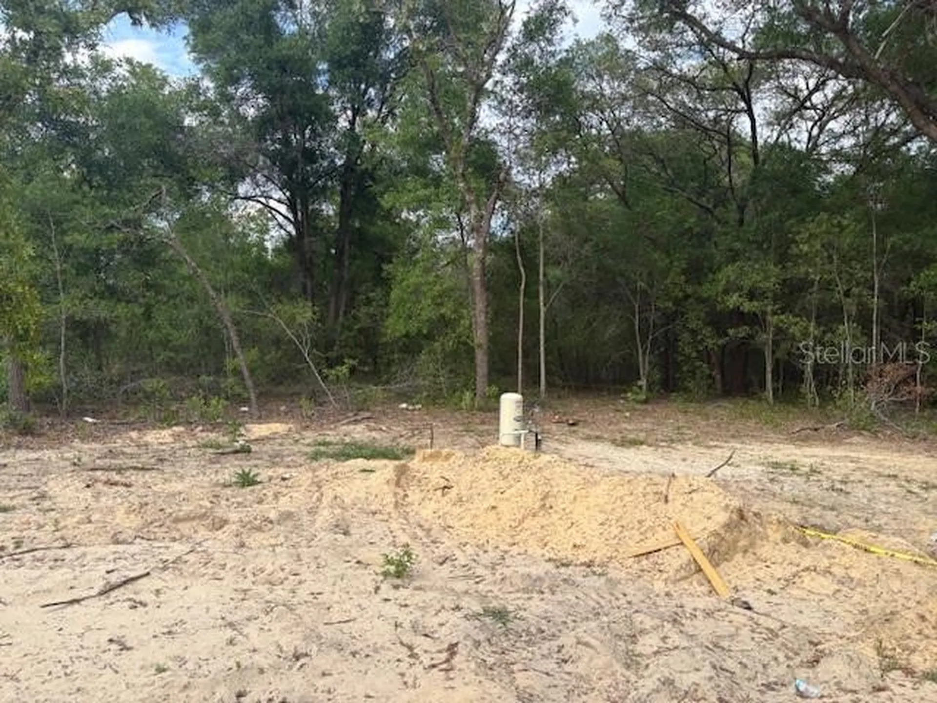 12815 SW 94th Lane Dunnellon FL 34432