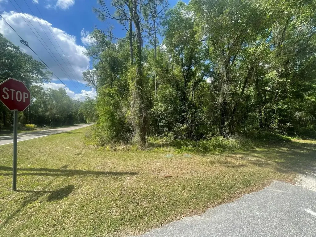 0 Haas Drive Webster FL 33597