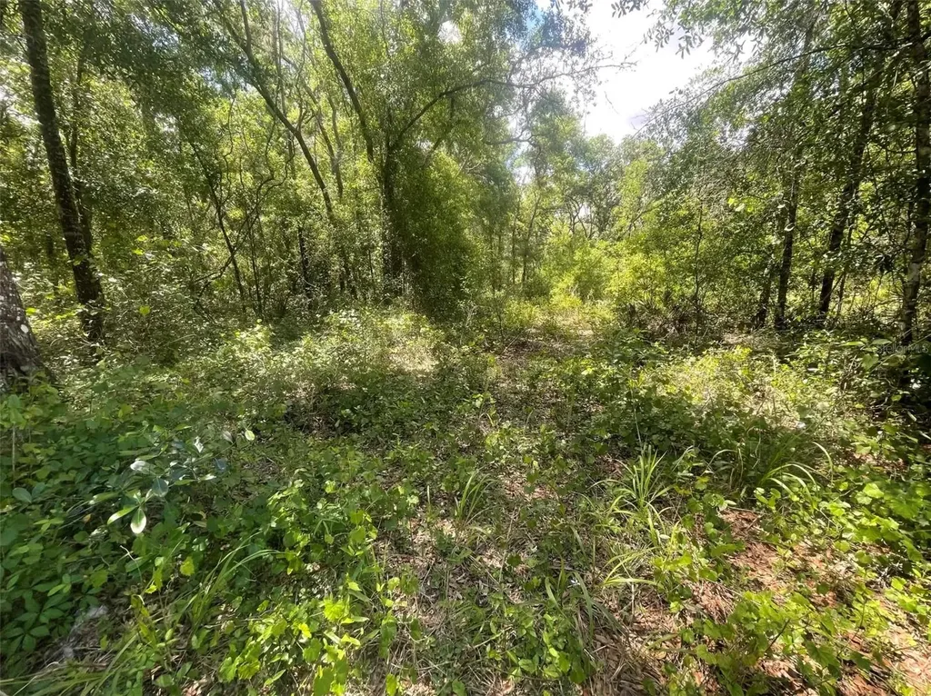 0 Haas Drive Webster FL 33597