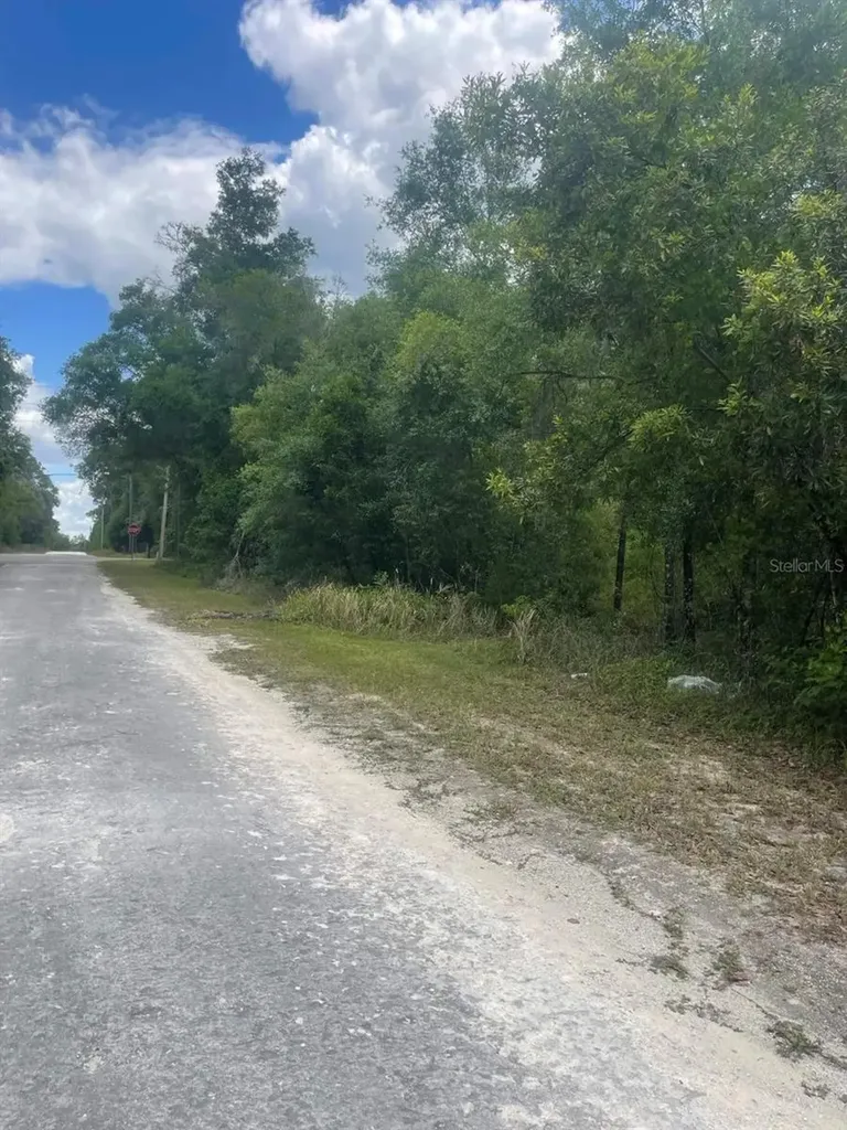 0 Haas Drive Webster FL 33597