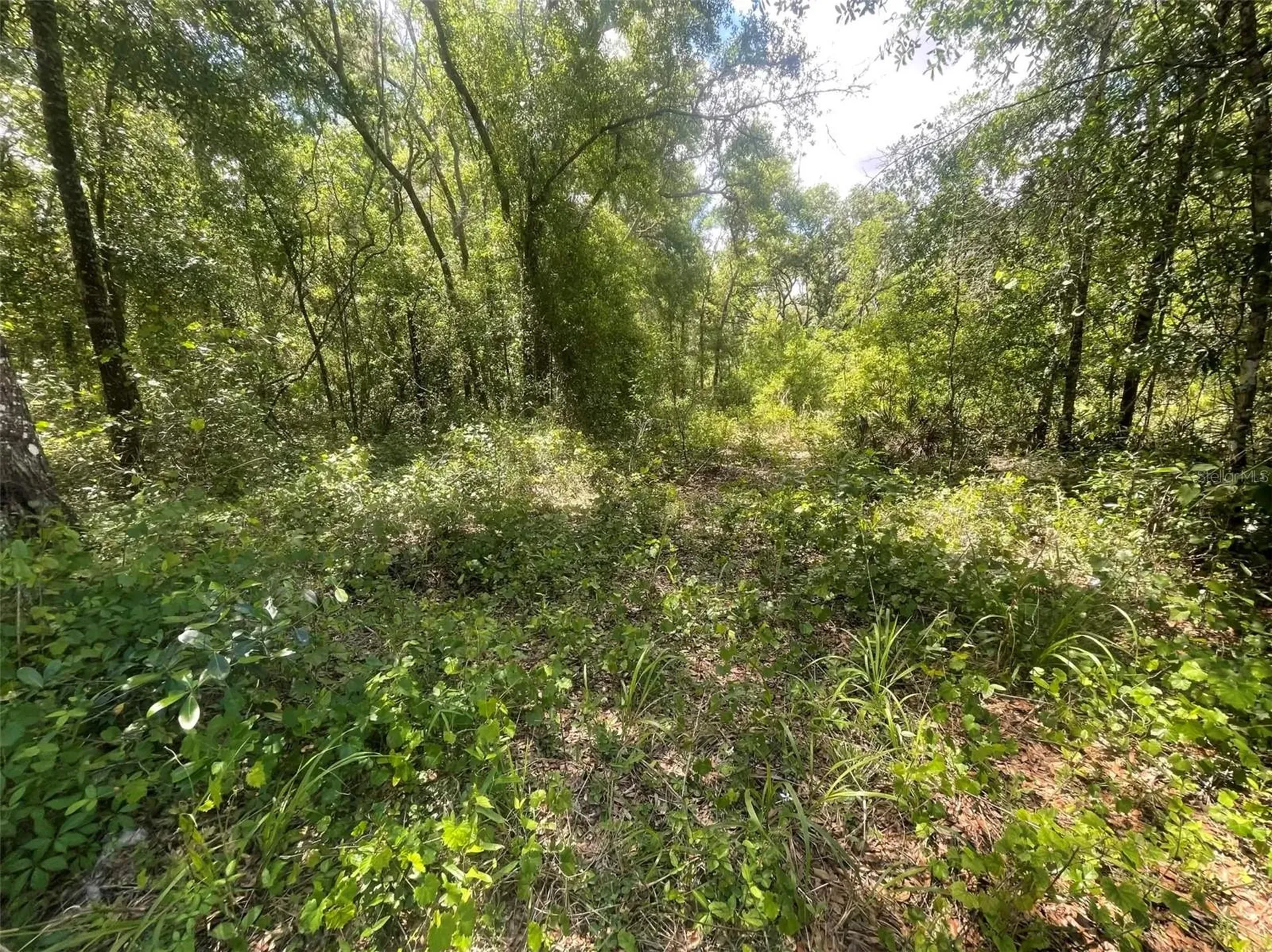 0 Haas Drive Webster FL 33597
