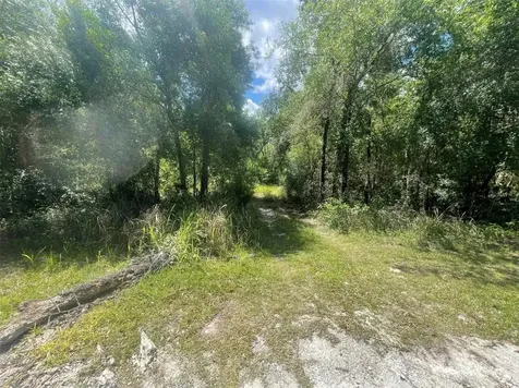 0 Haas Drive Webster FL 33597