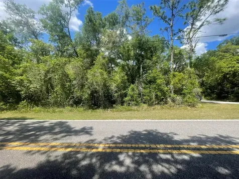 0 Haas Drive Webster FL 33597