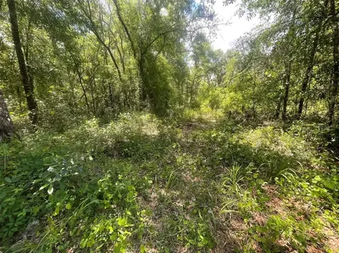 0 Haas Drive Webster FL 33597