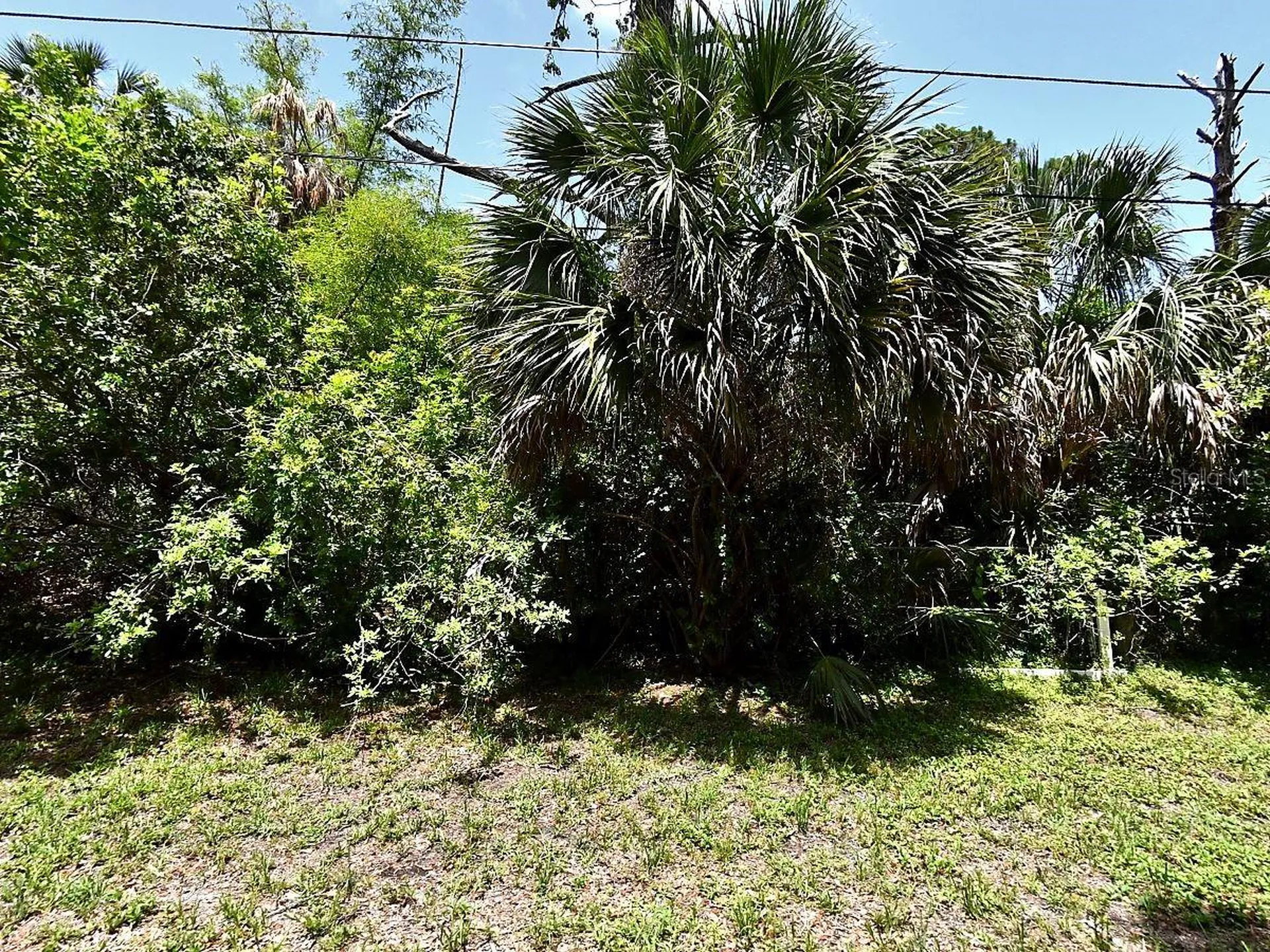 Glenwood Avenue Osprey FL 34229