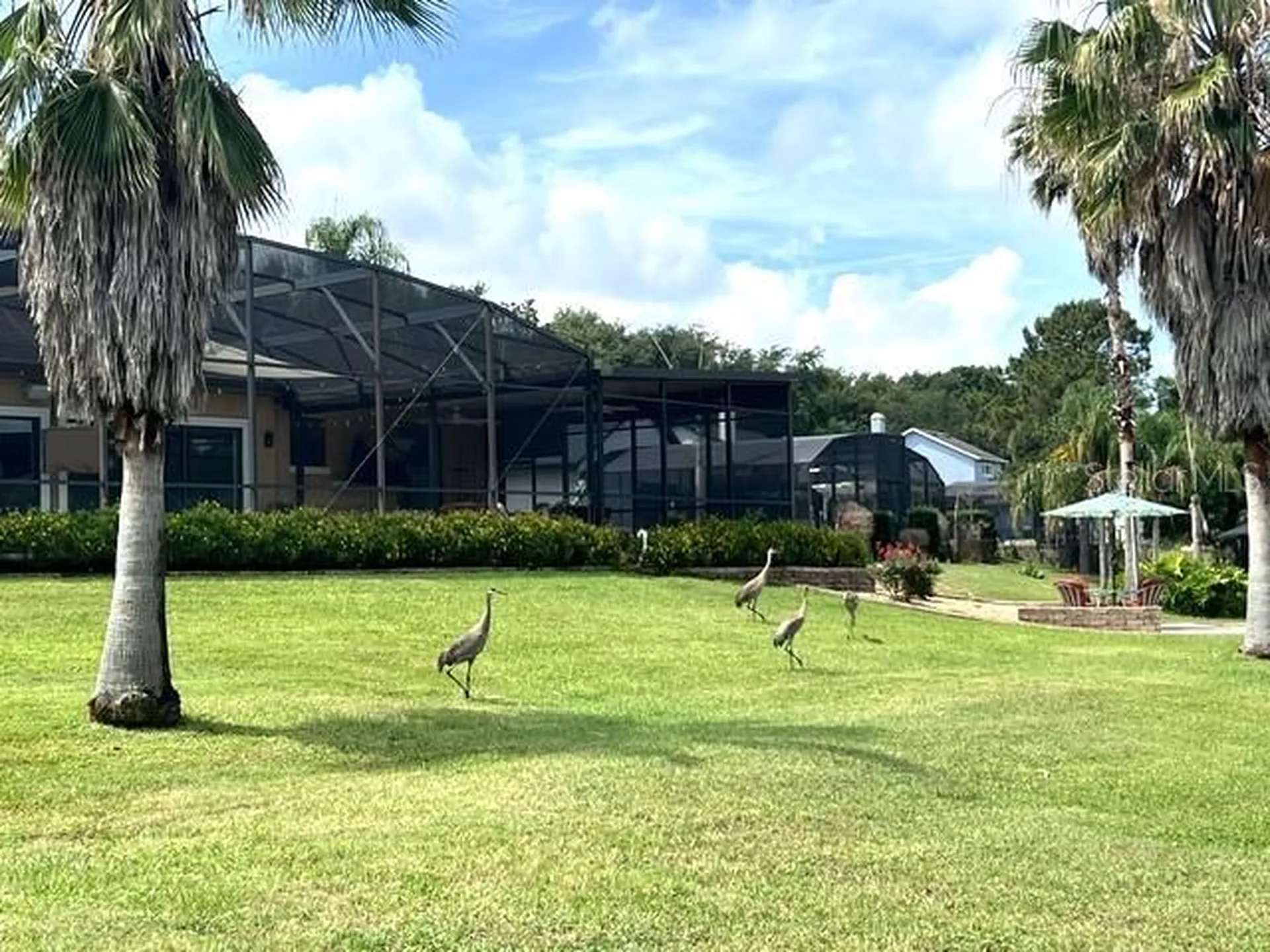 11325 Preston Cove Road Clermont FL 34711