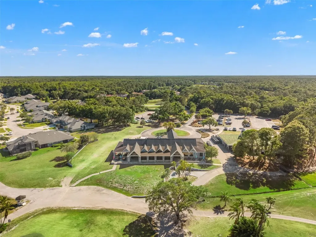 12818 Eagles Entry Drive Odessa FL 33556
