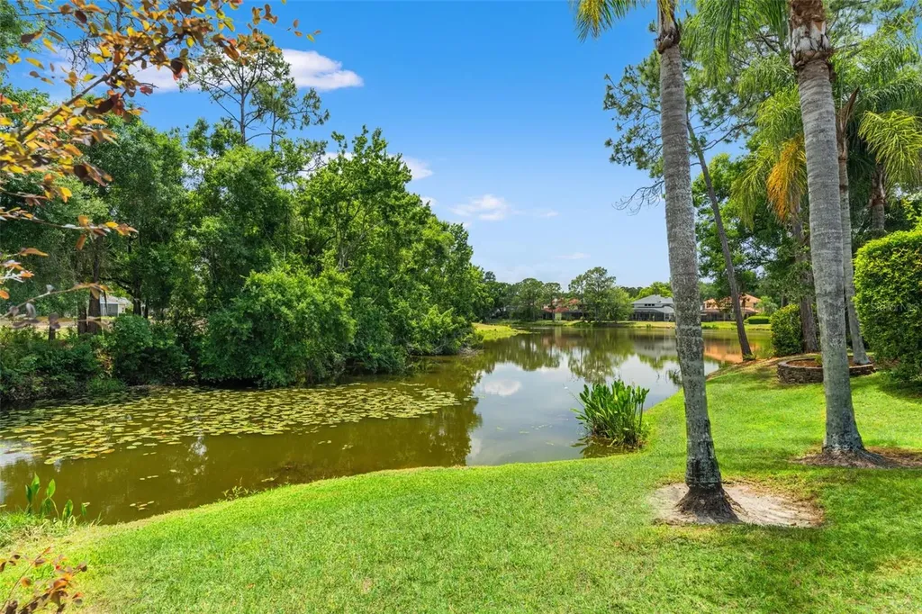 12818 Eagles Entry Drive Odessa FL 33556