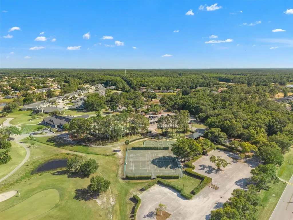 12818 Eagles Entry Drive Odessa FL 33556