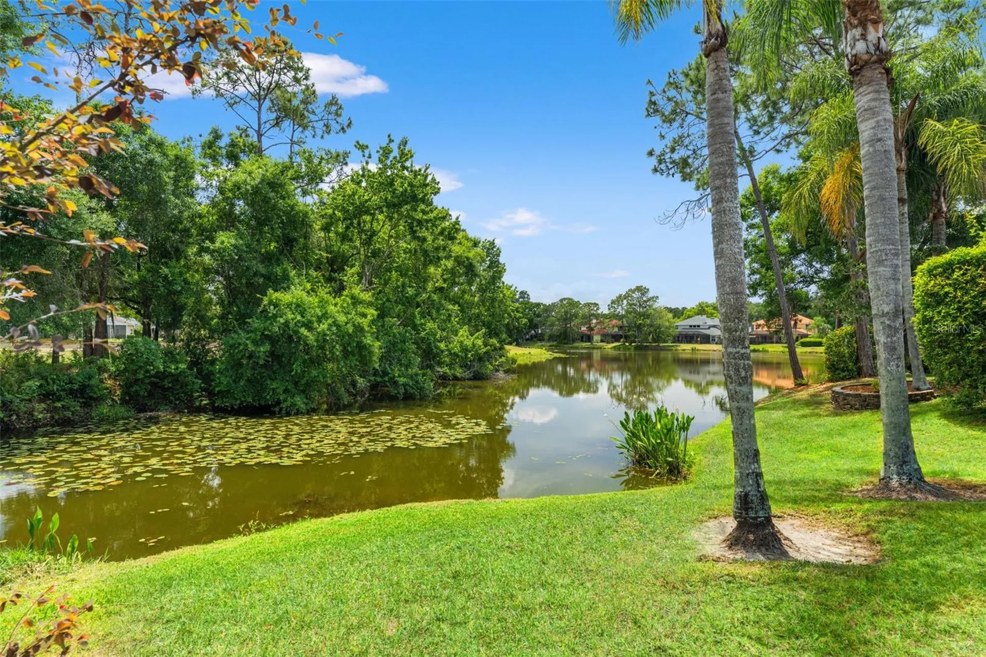 12818 Eagles Entry Drive Odessa FL 33556