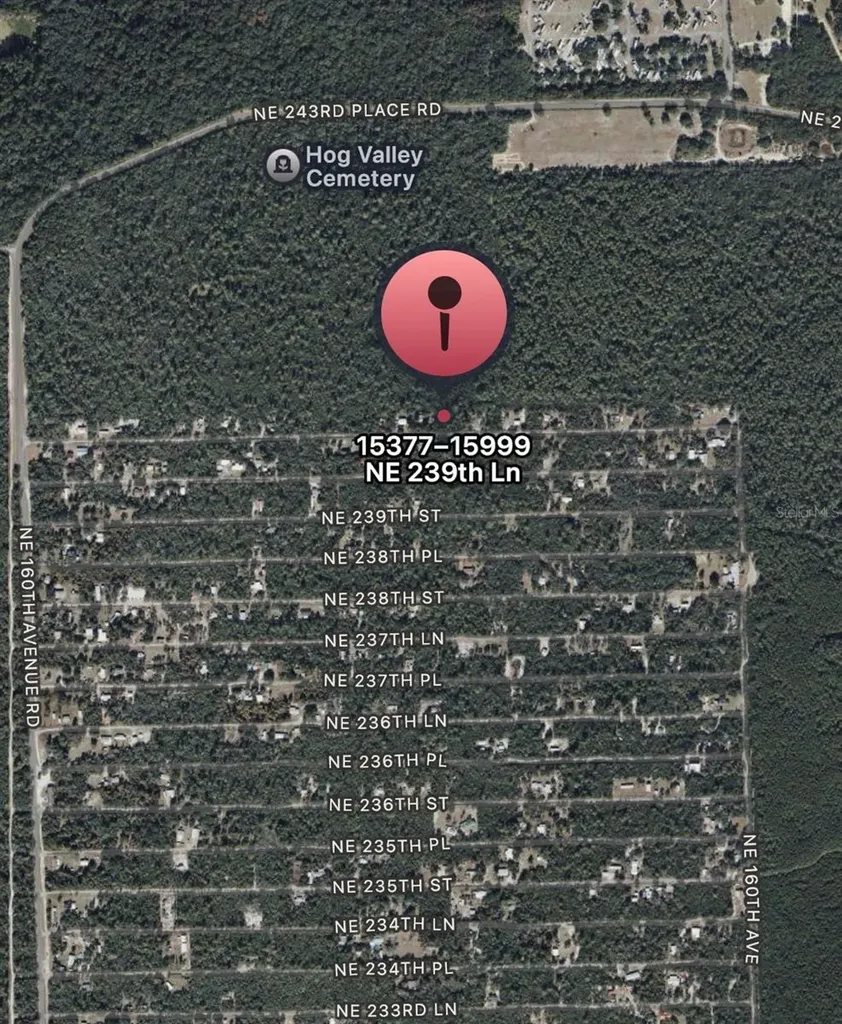NE 239 Lane Fort Mc Coy FL 32134