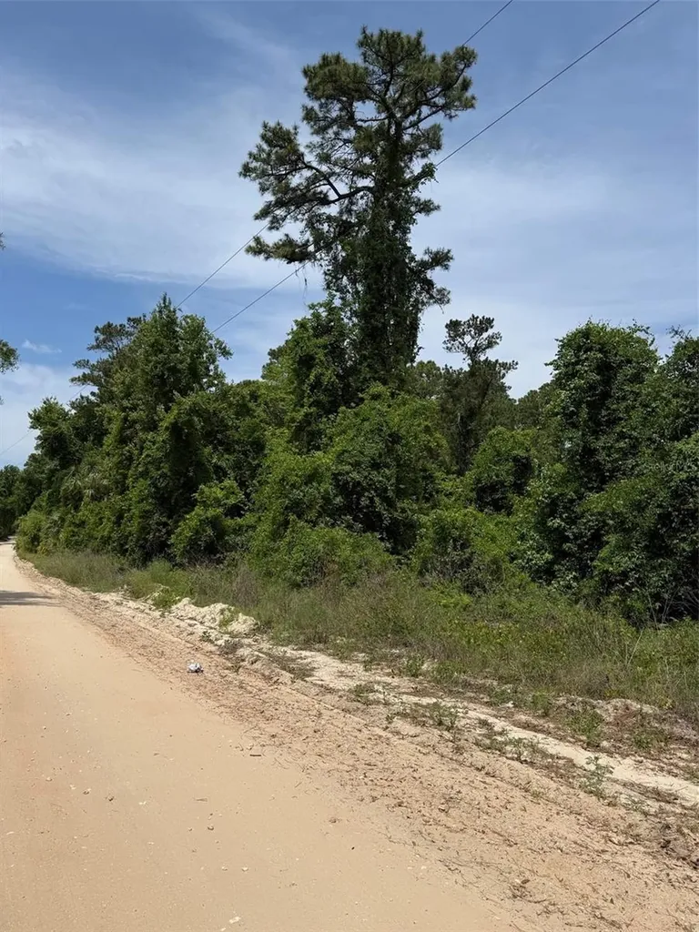 000 Folklore Drive Satsuma FL 32189