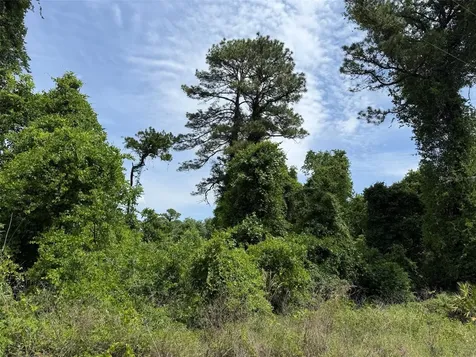 000 Folklore Drive Satsuma FL 32189