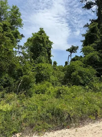 000 Folklore Drive Satsuma FL 32189