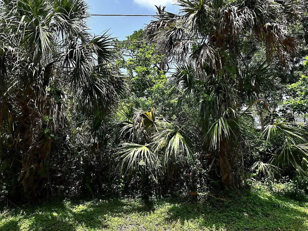 Glenwood Avenue Osprey FL 34229