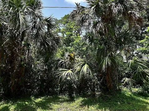 Glenwood Avenue Osprey FL 34229