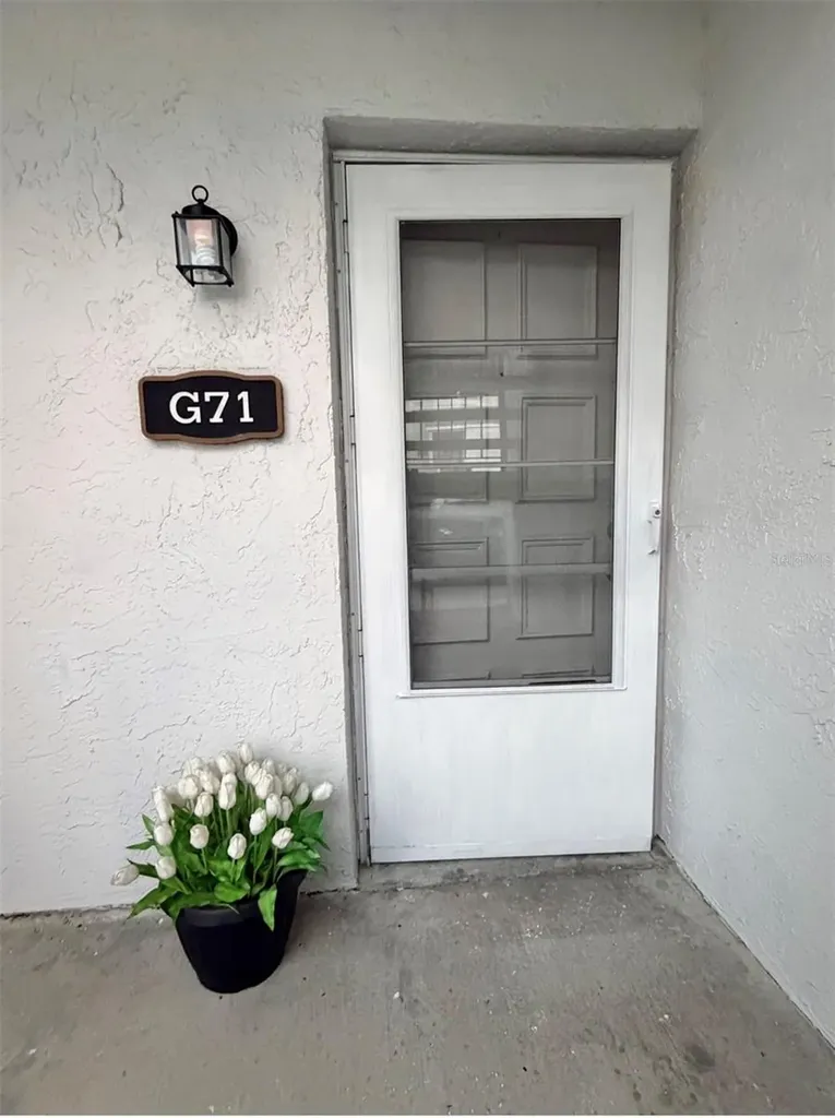 3815 N Oak Drive Tampa FL 33611