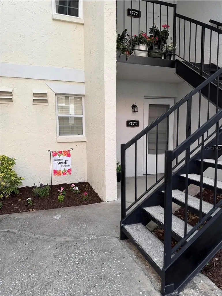 3815 N Oak Drive Tampa FL 33611