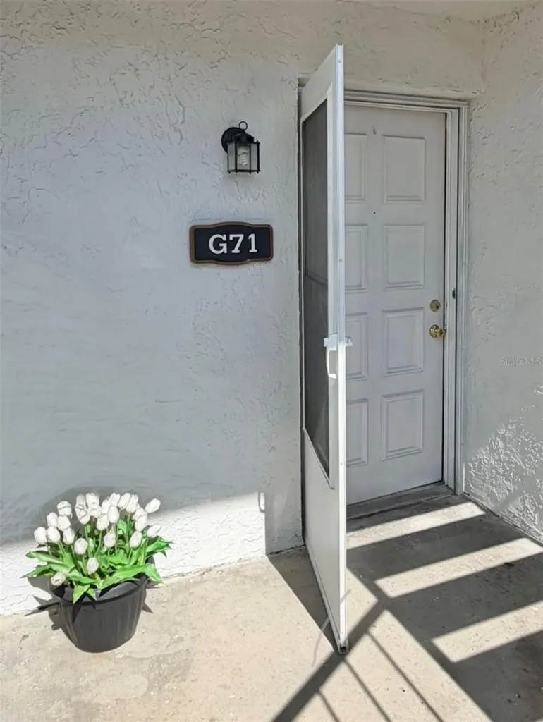 3815 N Oak Drive Tampa FL 33611