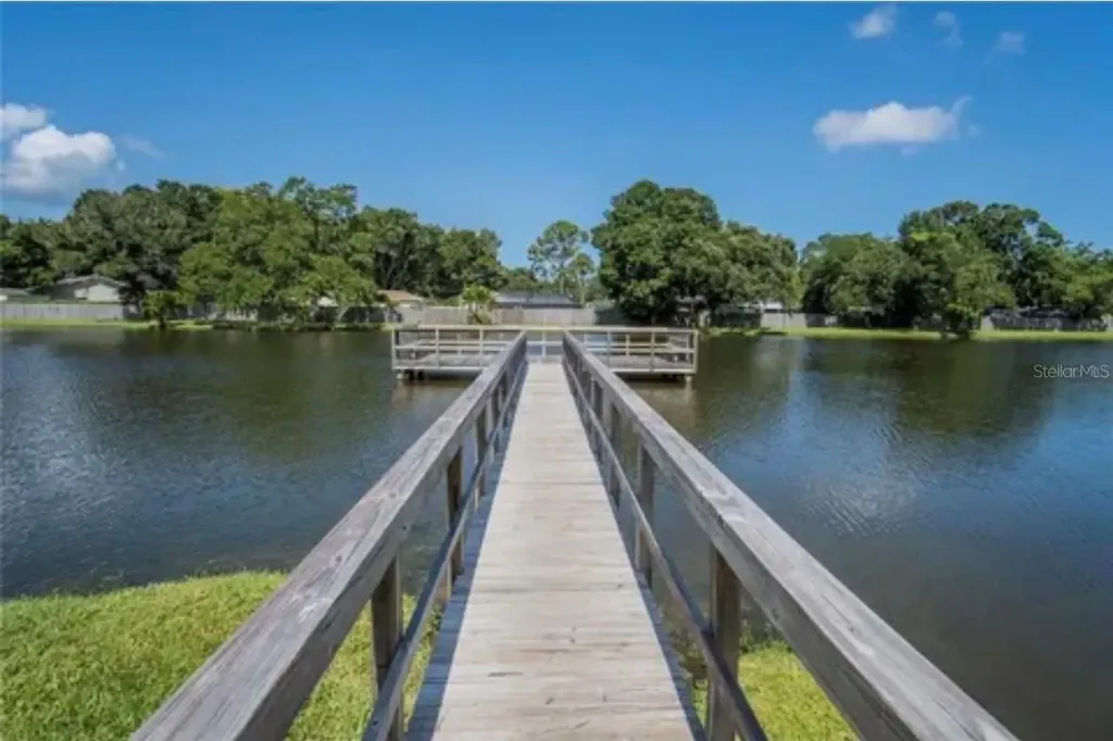 3815 N Oak Drive Tampa FL 33611