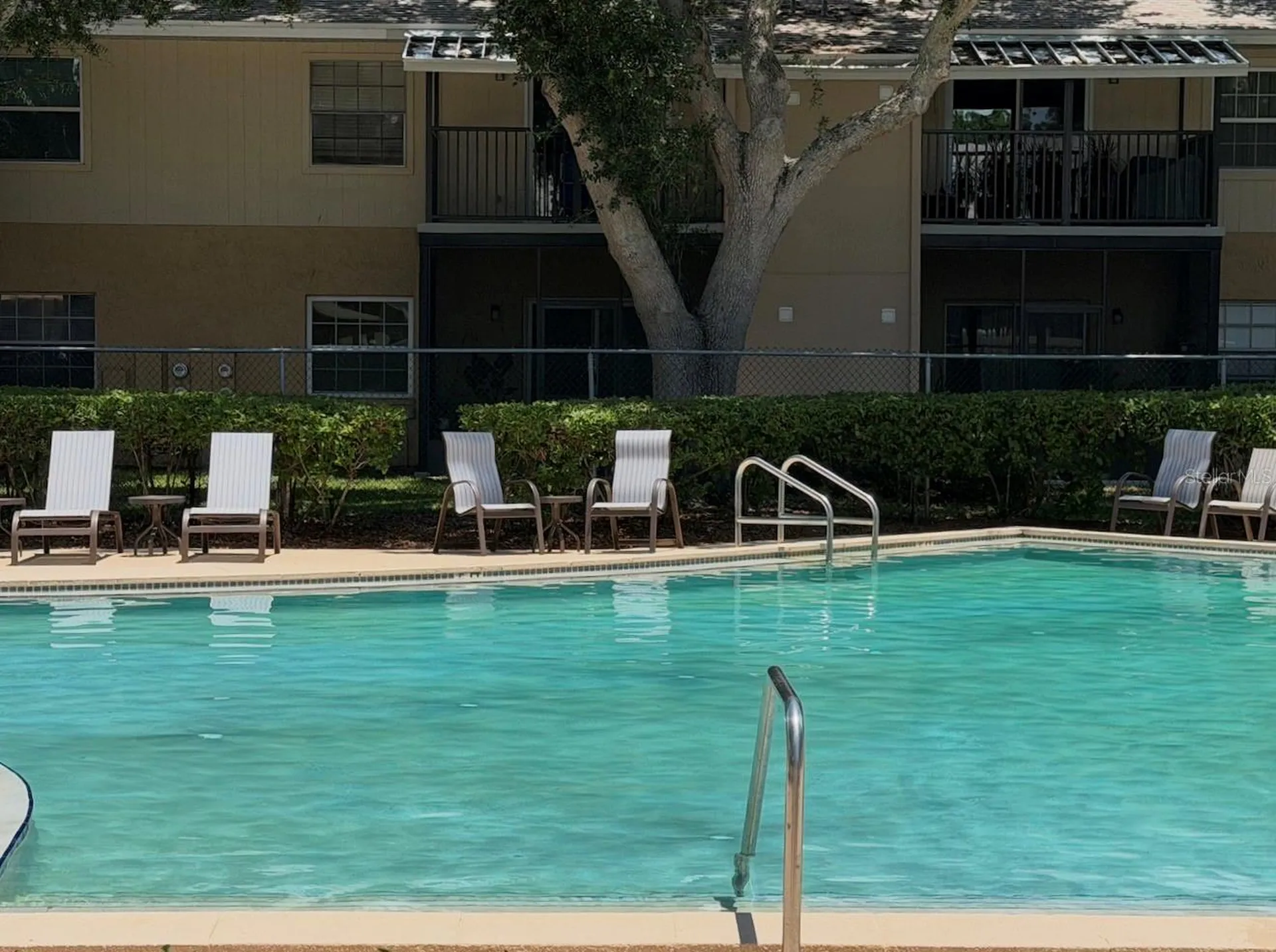 3815 N Oak Drive Tampa FL 33611