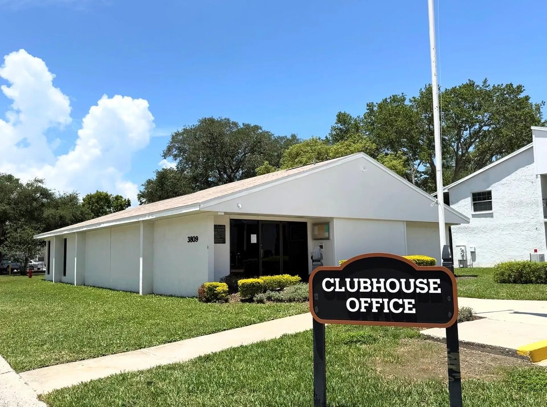 3815 N Oak Drive Tampa FL 33611