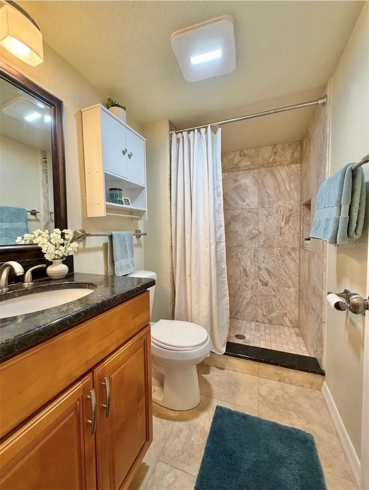 3815 N Oak Drive Tampa FL 33611