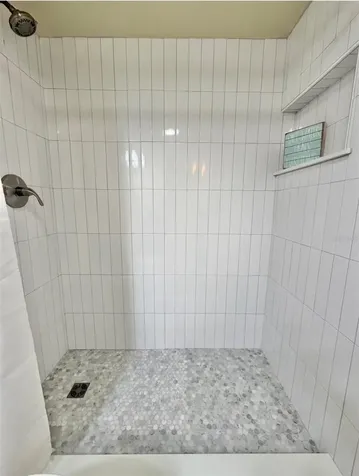3815 N Oak Drive Tampa FL 33611