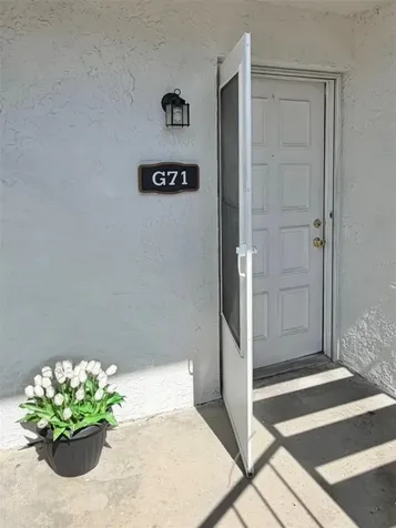 3815 N Oak Drive Tampa FL 33611