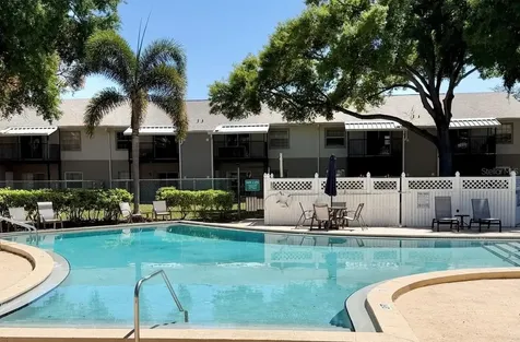 3815 N Oak Drive Tampa FL 33611